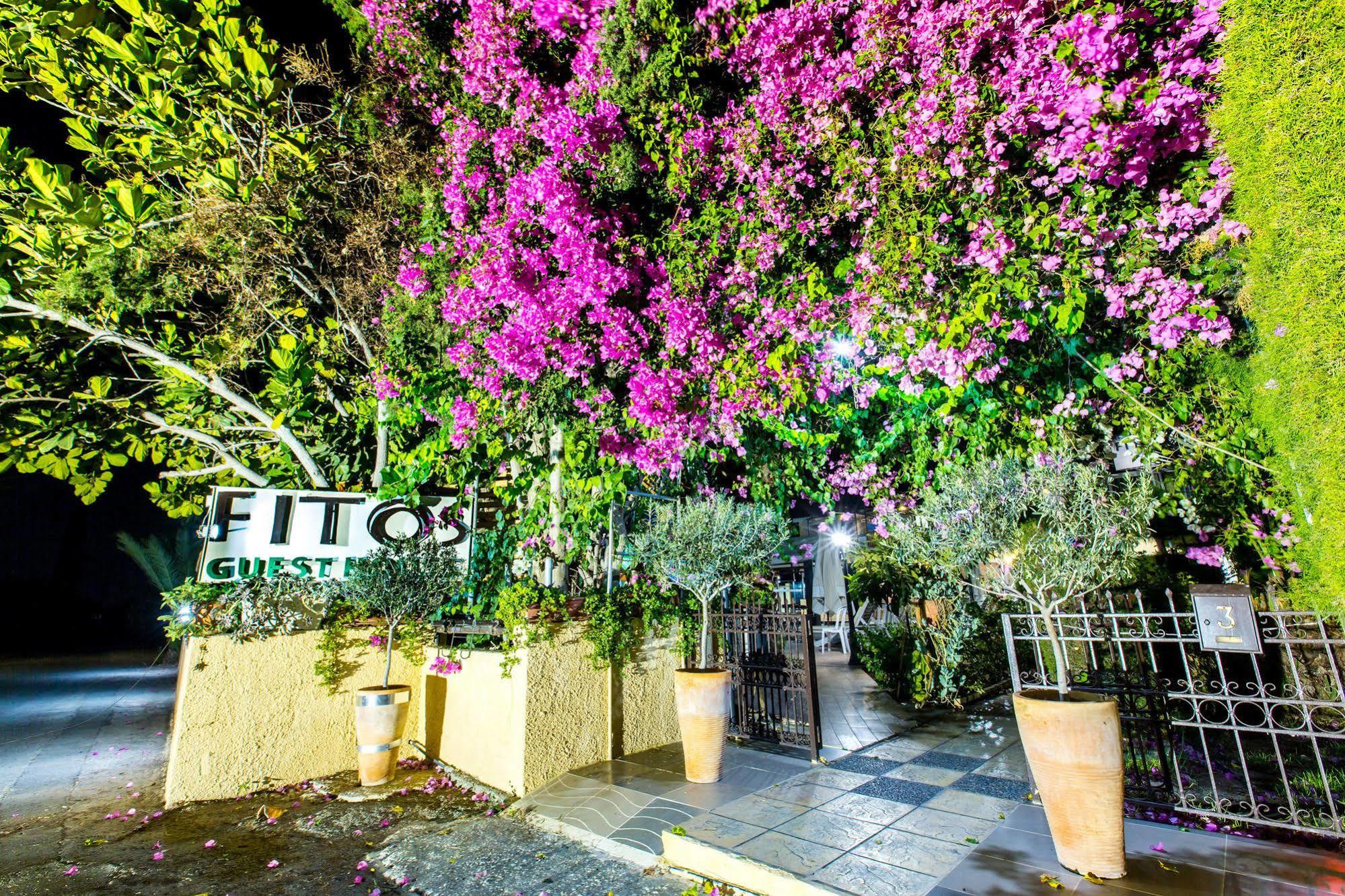 Fitosinn Hotel Geroskipou ภายนอก รูปภาพ